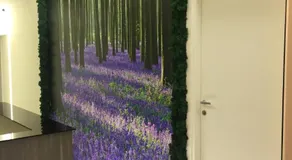 Morra's Home - Image 3