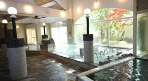 Tennenonsen Amuri - Image 4