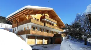 Apartment Alpin DG - GRIWA RENT AG - Image 3