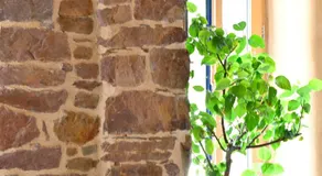 LES CHAMBRES AUX LOUPS - Image 4