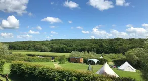 Honeysuckle Shepherds Hut at Blean Bees Eco Glamping - Image 4
