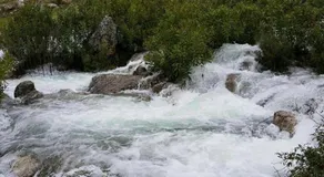 NAPAIMBE Sierra - Image 4