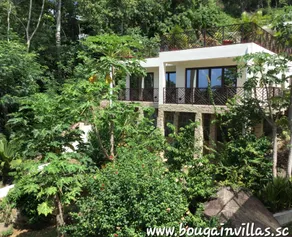 Bougainvillas Seychelles - Image 1