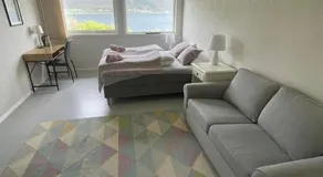 Tjeldøya Slott - Image 2