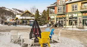Condo 916 at North Creek Resort - Image 4