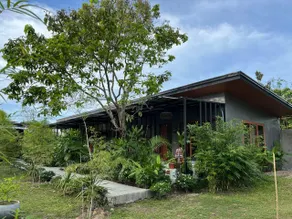 Casa Nacpan - Image 4