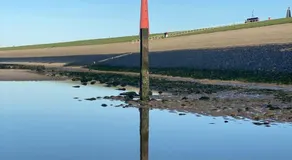 De Poortwachter 2B - Image 5