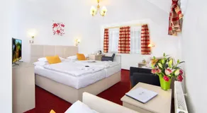 Hotel Hradec - Image 2