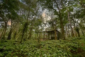 Nelliahudikeri Farmstays - Image 4