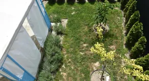 MEMangalia - Image 5
