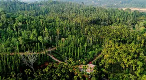 Areca Nut Homestay - Image 5