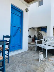 Alexandros Mykonos - Image 5