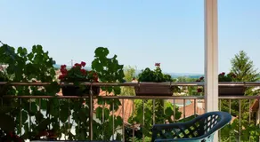 Sakota family house - Image 3