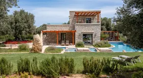 Rosemary - Image 3