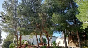 Jardin de Mucho - Image 4