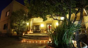 Olive Grove Guesthouse - Image 5