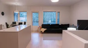 Large renovated townhouse with sauna and patio - Image 3