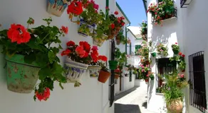Casa Olea - Image 3