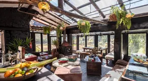Wolf Totem Steam Punk Guesthouse - Image 3