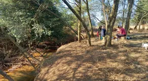 Sanfern Downs Cottage - Image 5