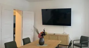Große moderne Ferienwohnung in Bitterfeld Nähe Goitzschesee - Image 4