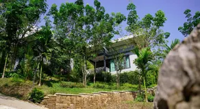 Bangnu Greenery Resort - Image 4