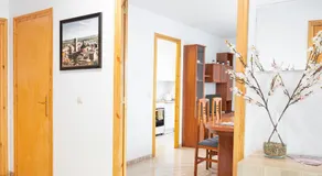 Casa de l'Arbre - Image 3