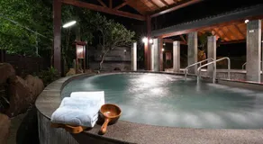 Hoya Hot Springs Resort, Guanziling - Image 4