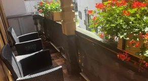 Gästehaus u Ferienwohnungen Veronika incl KönigsCard mit 200 kostenlosen Attraktionen - Image 4
