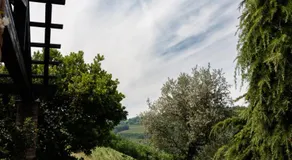 Cadgal - Tenuta La Cova - Image 2