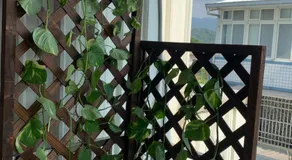 Guan Ma Homestay - Image 4