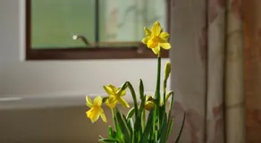 Pardon Hill Farm B&B - Image 4