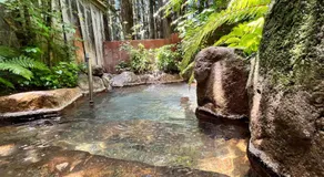 湯の花ふわり 湯元館 - Image 5