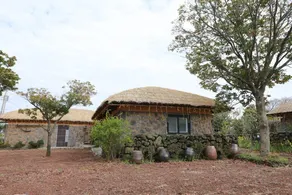 Seogwipo Chogain inn Guest House - Image 5