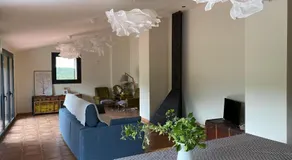 La falsa de Palacio - Image 2