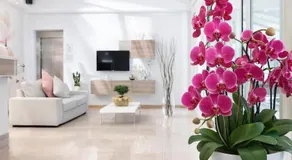 Hotel Amalfi - Image 3
