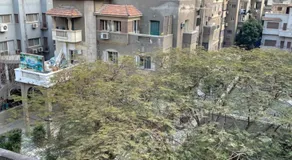 Cairo - Image 4