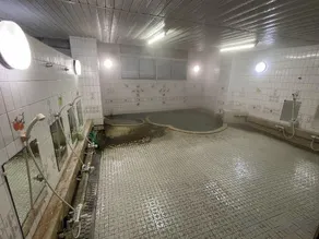 Showa Onsen Ryokan Sumire - Image 2