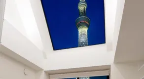 La Krasse Sumida - Image 4