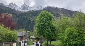 Abeille de Chamonix - Image 4