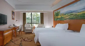 Vienna Hotel (Danxia Mountain Scenic Spot) - Image 4