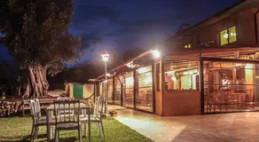 Poggio dei cavalieri - Image 4