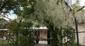 Chez l habitant - Image 2