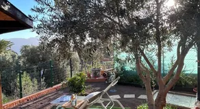 La casa de Tea - Image 4