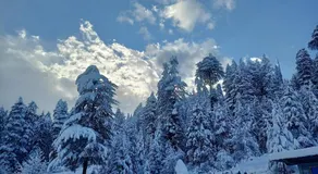 Alpine Lodge And Stays - Image 5
