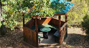 Forest Spring - Image 5