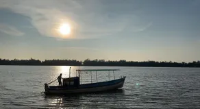 Riverville malvan - Image 5