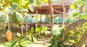 Mist Valley Cottages and Resorts - Image 2