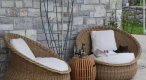 MiTerra Cozy Apartments - Image 3