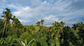 Diyaluma NAS Villa - Image 4